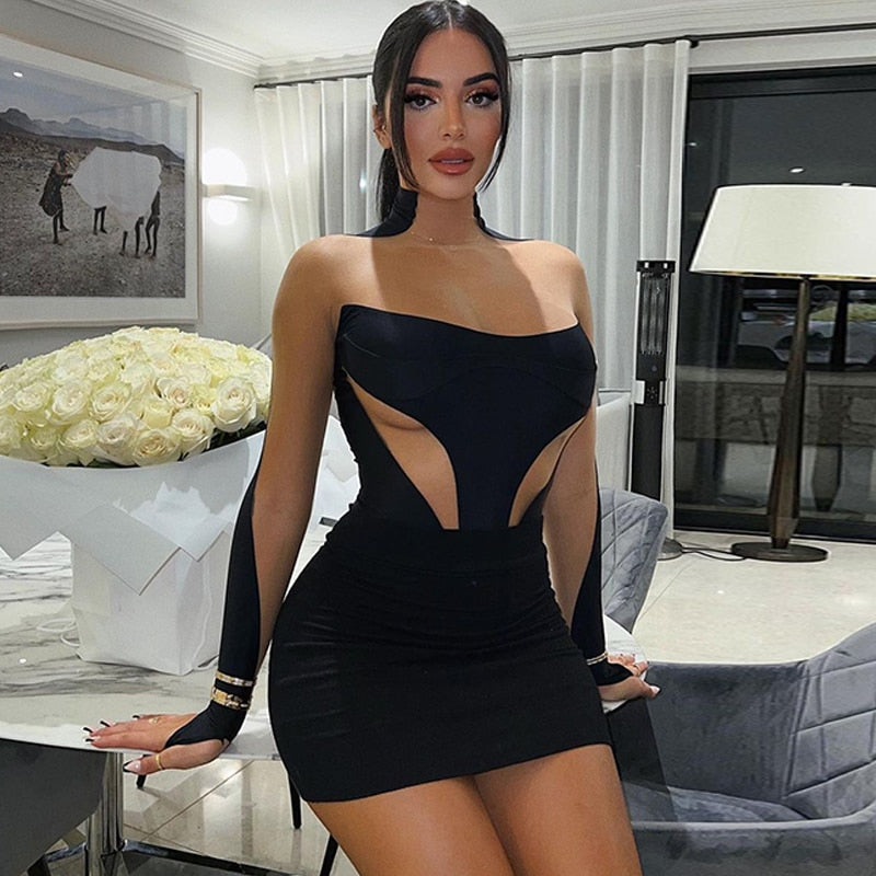 Black Patchwork Mesh Long Graceful Sleeve Bodycon Mini Dress